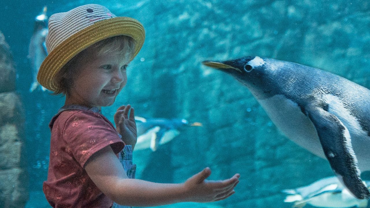 Den store indendørs rutsjebane i DAC i København.