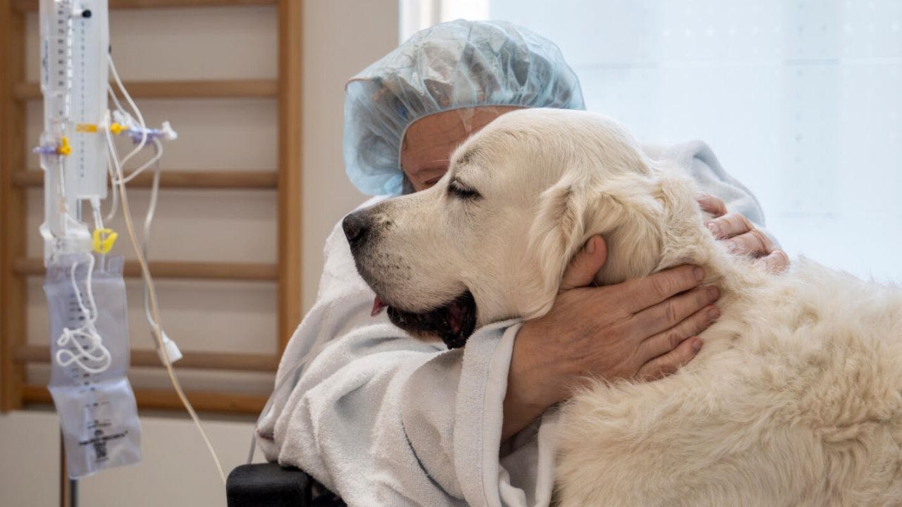 Hospitalshunden Snoopy med en patient