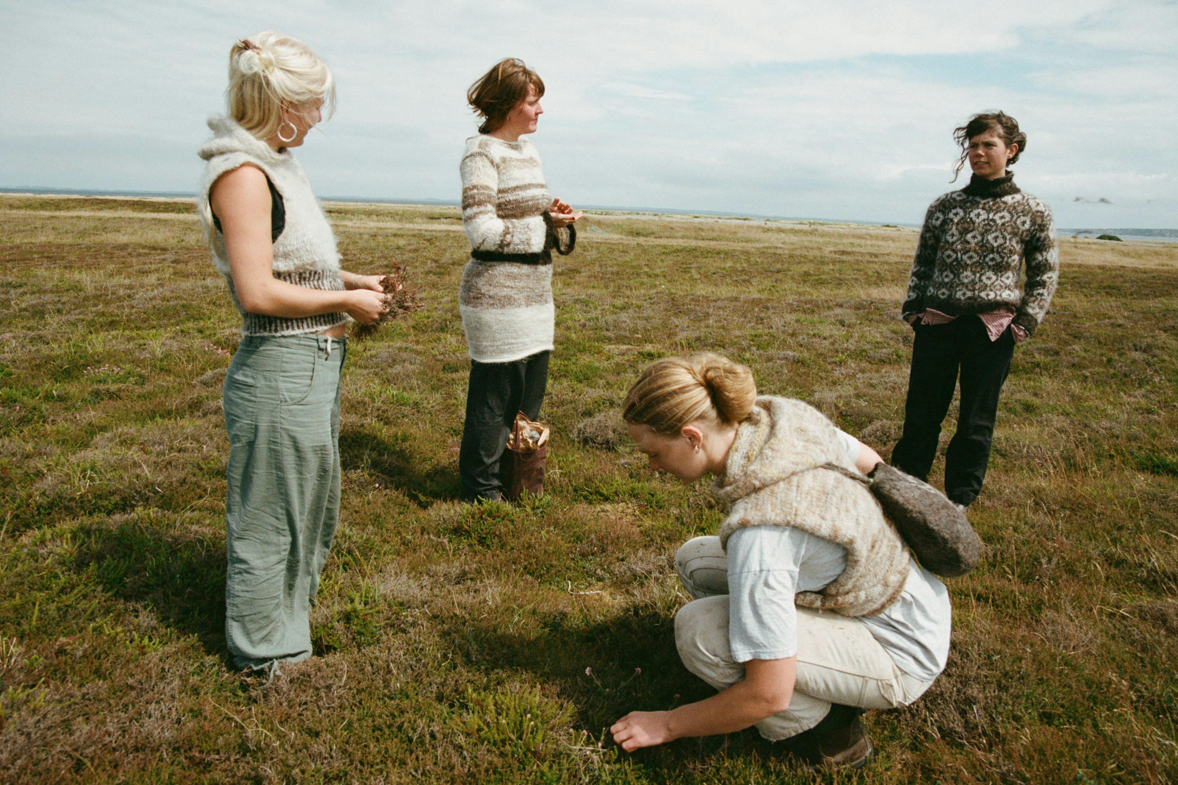 fire veninder på den jyske hede