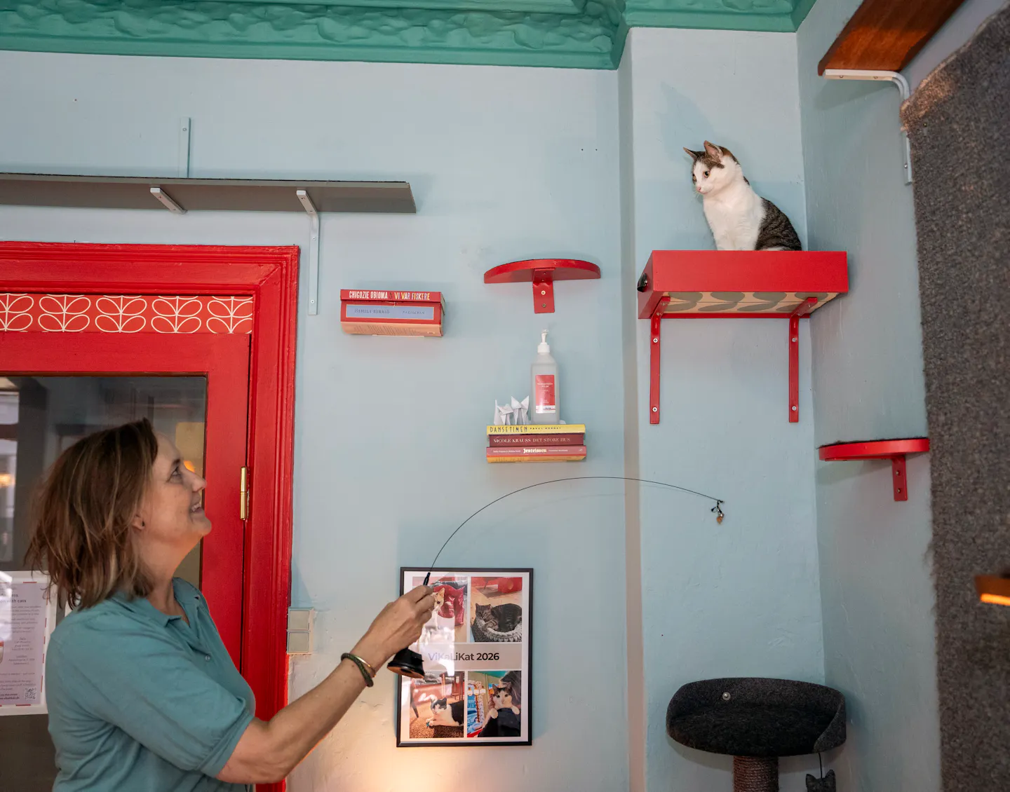 Få en kat med til kaffen: Charlotte finder ejere til hjemløse katte ...