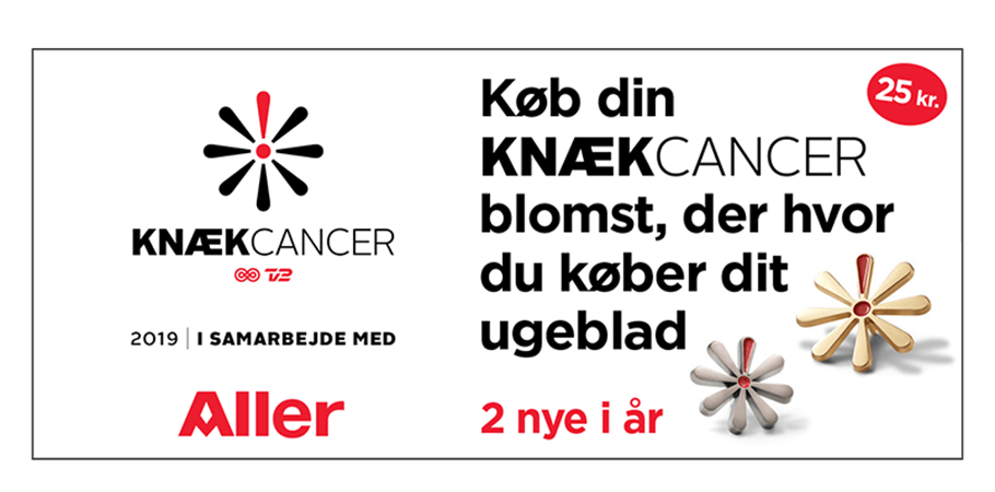 Igen i år kan du støtte en god sags tjeneste ved at købe Knæk Cancer-blomsten.