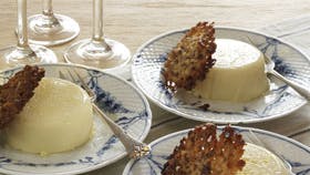Panna cotta med citron og sprøde florentinere