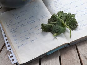 https://imgix.familiejournal.dk/media/0eba7c5e05674ac7acfd9ef817d06fdf.jpg