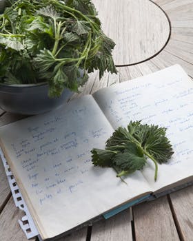 https://imgix.familiejournal.dk/media/0eba7c5e05674ac7acfd9ef817d06fdf.jpg