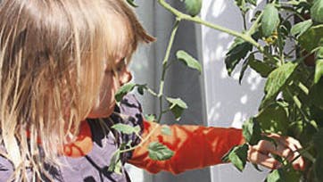 Foto: Anne-Marie Øby, m.fl.