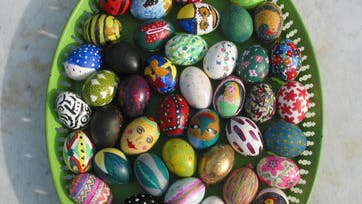 En æggebakke af den kønneste slags. Foto: Mette Jørgensen