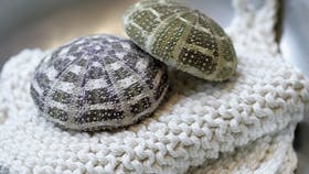 Foto: Jette M. Vesterager