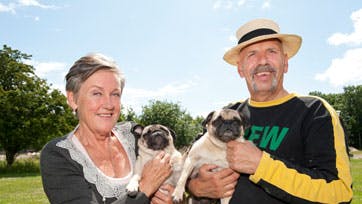 Ilse er stolt over den seneste familieforøgelse ? seks søde og frække mopshvalpe Foto: Alex Tran