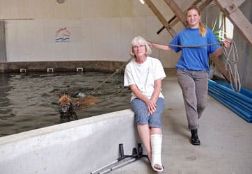 https://imgix.familiejournal.dk/media/29e034a3cab04586a374117965b127d7.jpg
