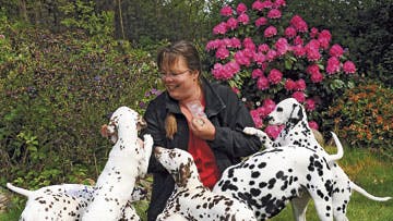 Foto: Birger Vogelius