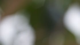 Foto: Mette Østergaard