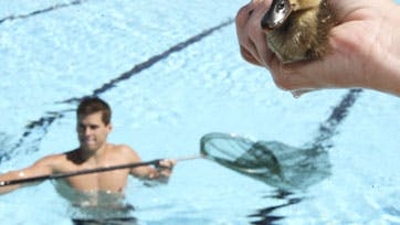 Foto: Anne-Mette Mik