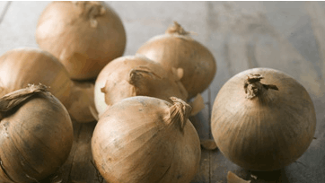 Foto: All Over Press