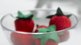 Foto: Jette M. Vesterager