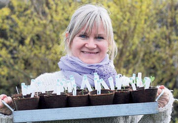 https://imgix.familiejournal.dk/media/4d943ee1f5e74c3d902782fdef117be3.jpg