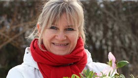 En køn kurv eller krukke med et par stauder, som modtageren evt. senere kan plante ud i haven, er en god gaveidé. Selv er jegfuldstændig vild med juleroser!