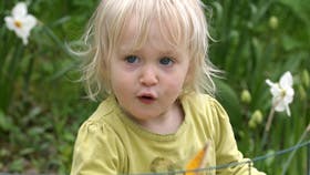 Man kan nÊsten se pÄ Astrids ansigt, at hun godt ved, hun er kommet pÄ den forkerte side af det trÄdnet, jeg sÊtter op om staudebedet