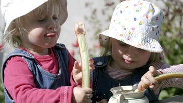Farmors rabarbergrød er det bedste, men heldigivs har storesøster lært Astrid og Rose, hvordan man selv skaffer sig lidt rabarbersmag. Foto: Anne-Marie Øby