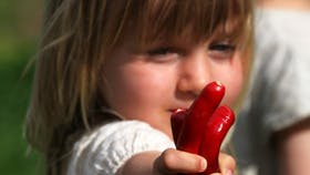 Rose har høstet tre chilier, men ved godt, at desmager lidt kradsbørstigt, så hun holder demklogeligt ud i arms længde. Foto: Anne-Marie Øby