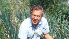 Lange, sirlige rækker af grønsager er ét blandtmange eksempler på menneskets omformning afomgivelserne og miljøet. Foto: BBC