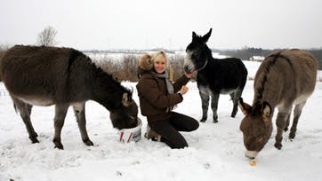 Foto: John Falk Løndahl