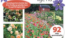 Forsiden af det nye havemagasin, der kan fåsde steder, hvor du normalt køber FamilieJournal. Prisen er 49,95 kr.