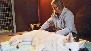 Foto: Lisbeth Kristine Cedray