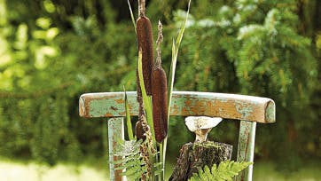 Foto: Claus Peuckert