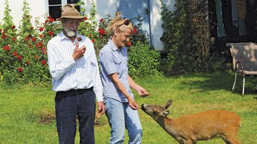 Af Birger Vogelius og privat