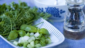 Foto: Catrine Mannerup