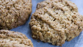 Foto: Catrine Mannerup