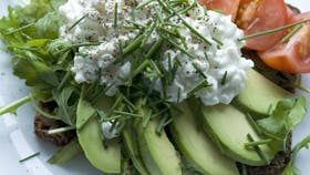 Foto: Catrine Mannerup