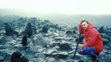 Søløver og sæler er fascinerende repræsentanter for dyrelivet i klodens kolde egne. Foto: BBC