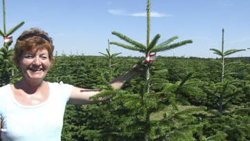 Foto: Ejlif Sander Rasmussen