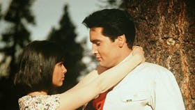 Romantik var der altid i luften, når Elvis rullede sig ud på lærredet ? her med Yvonne Craig i ?Kissin? Cousins? fra 1964