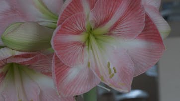 Foto: Mette Østergaard