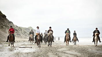 Strækningen mellem Råbjerg Stene og Kandestederne tilbagelægges i halsbrækkende fart. Til hele flokkens begejstring. Foto: Henrik Bjerg