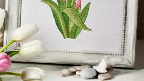 Foto: Anette Nilsson