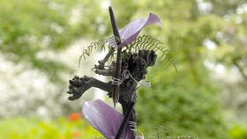 Foto: Jette M. Vesterager