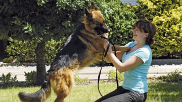 Foto: Torkel Dyrting m.fl.