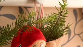 Foto: Jette M. Vesterager