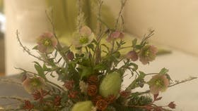 Foto: Jette M. Vesterager