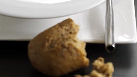 Foto: Catrine Mannerup