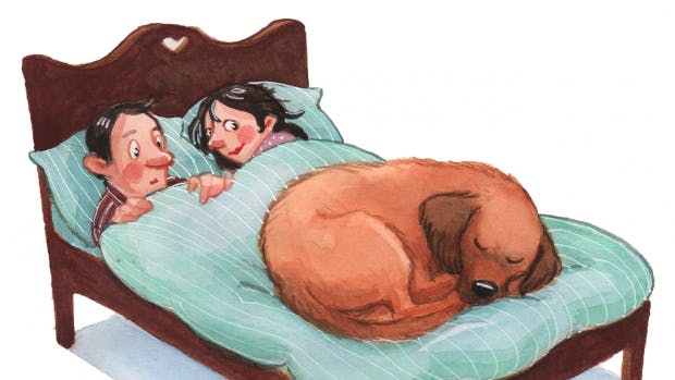 Brev til Puk Elgård: Han vil have min hund ud af sengen