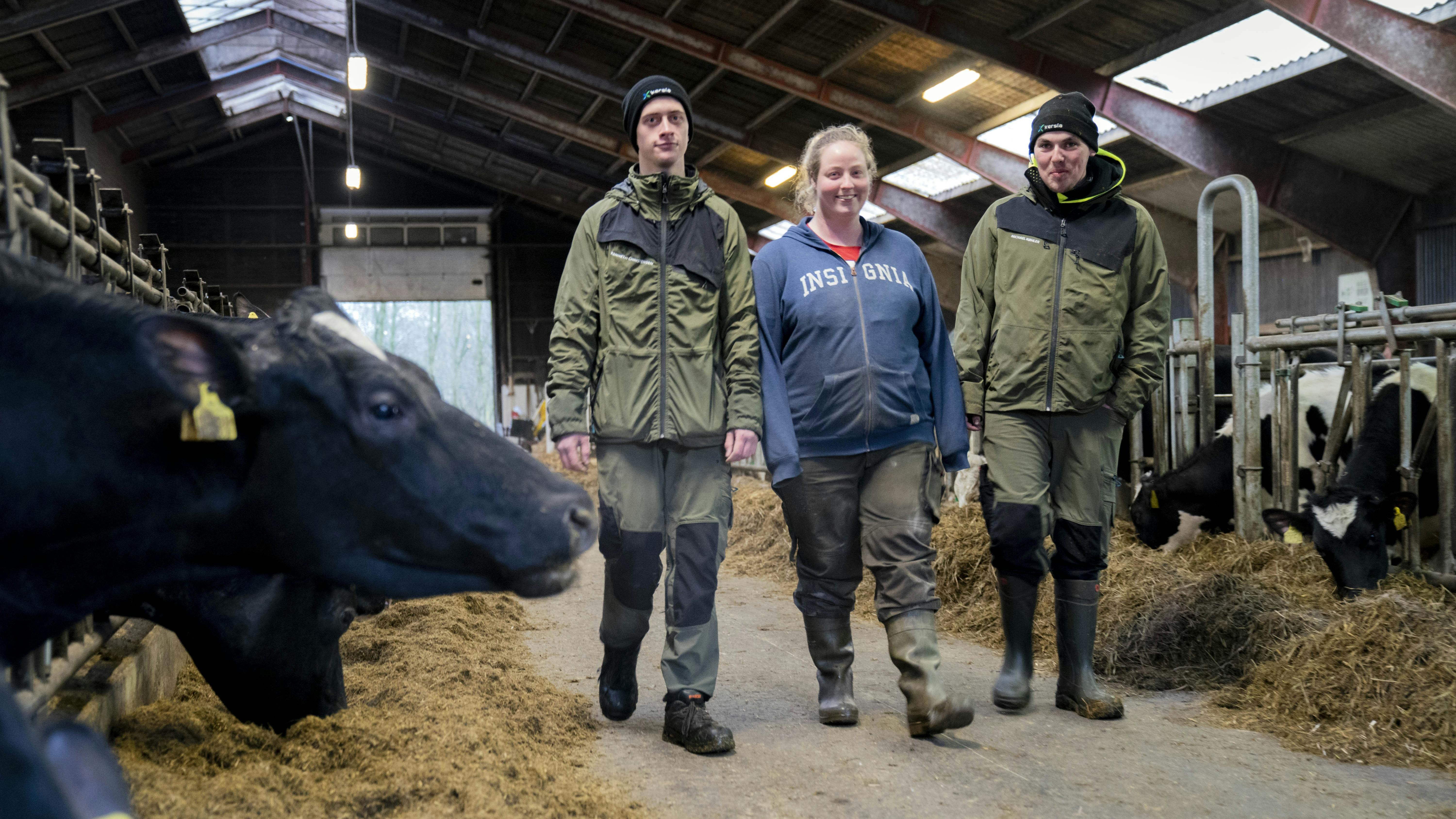 Her vender vi nederlag til succes