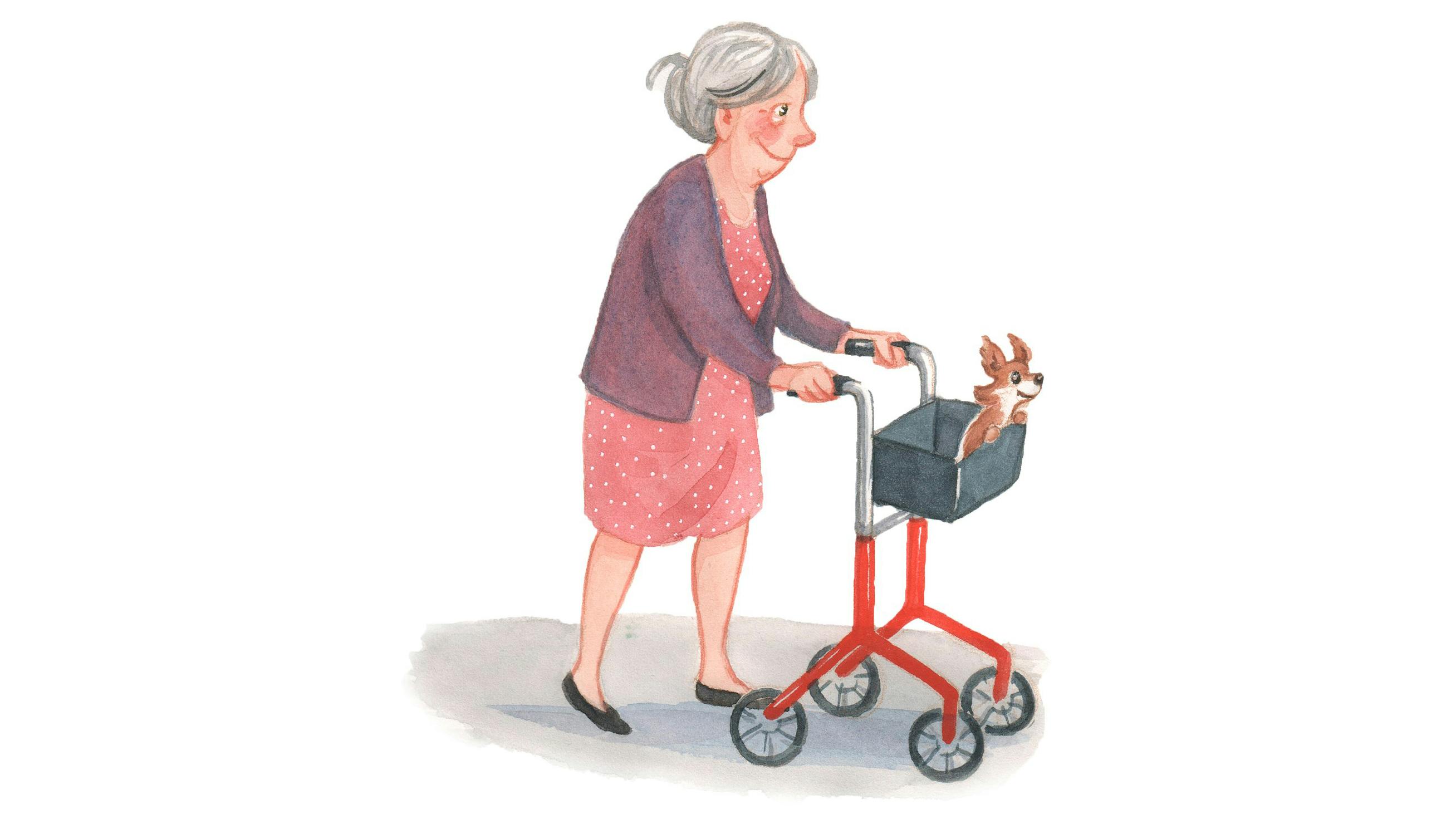 Brev til Puk: De skal da ha? hund igen