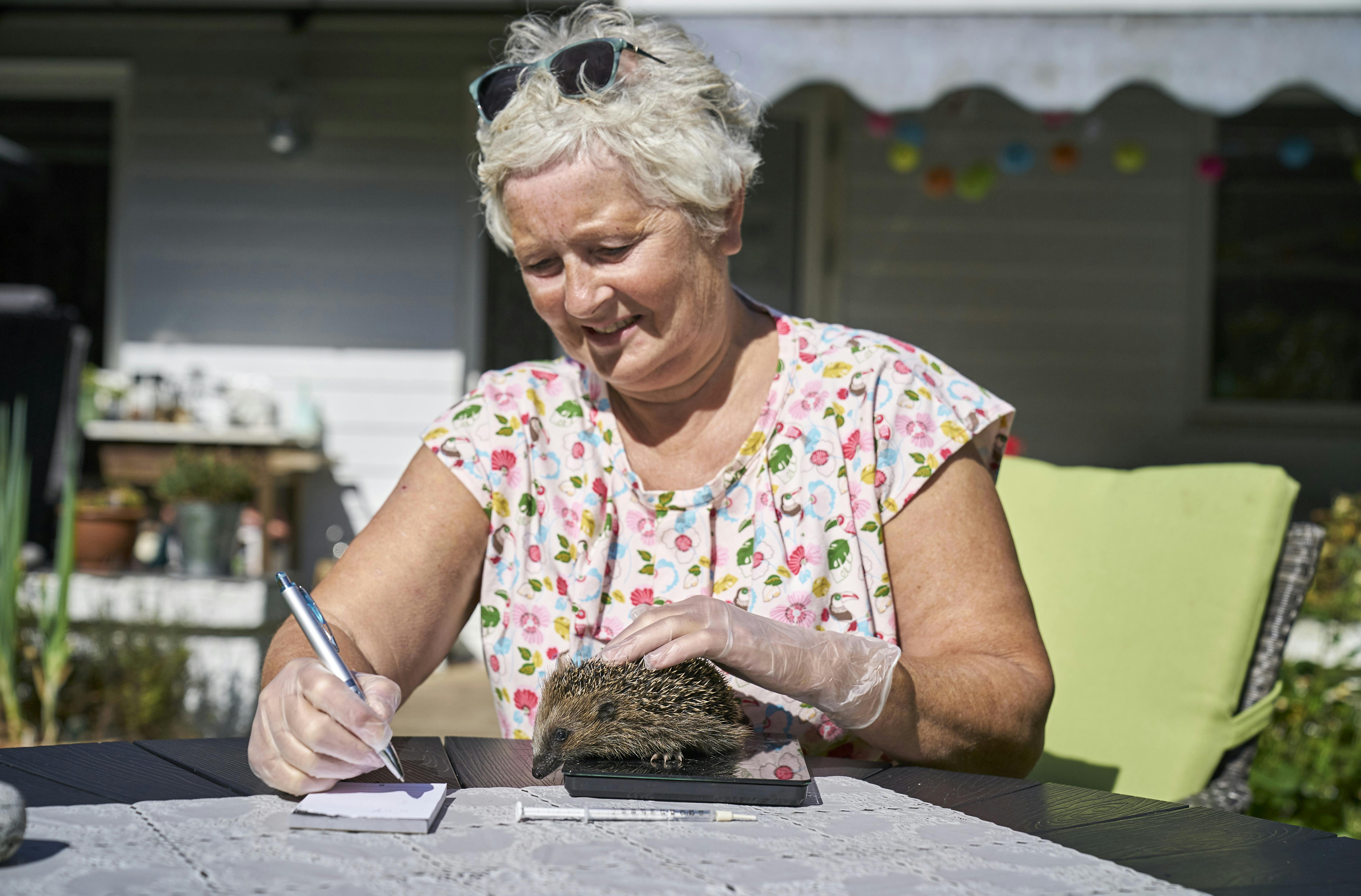https://imgix.familiejournal.dk/media/article/46_helle_kaufmann_oroe_pindsvinepleje_knaek_cancer_fj_2sl5360.jpg