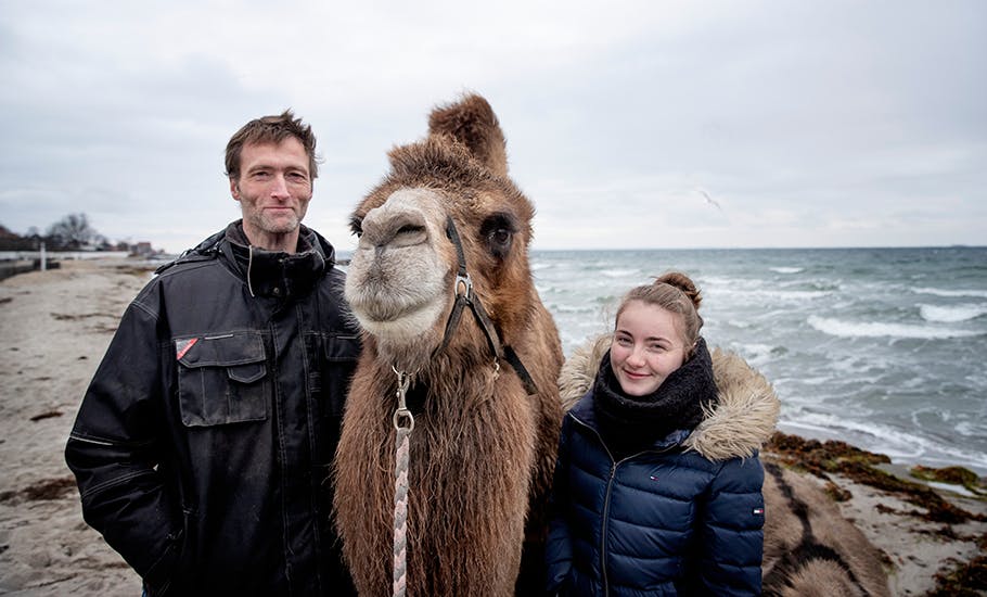 Cecilie er vokset op med kameler: Dyrene er blevet et fælles projekt 