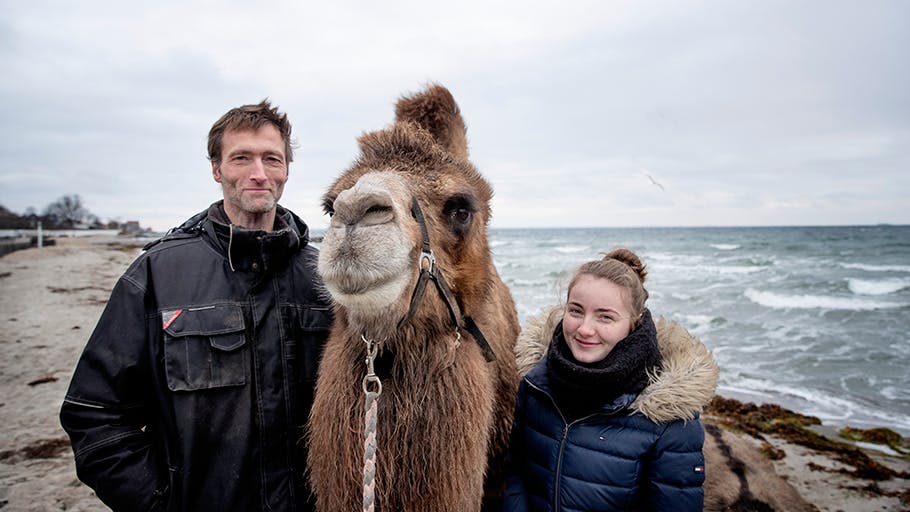 Cecilie er vokset op med kameler: Dyrene er blevet et fælles projekt 