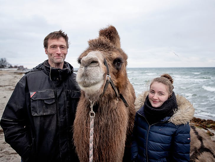 Cecilie er vokset op med kameler: Dyrene er blevet et fælles projekt 